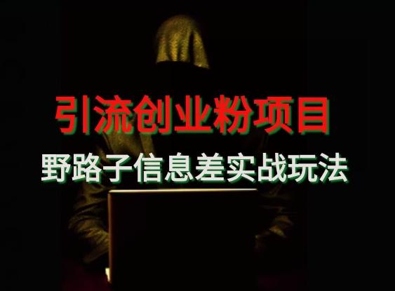 【引流创业粉】野路子信息差玩法实战教学-资源宝库