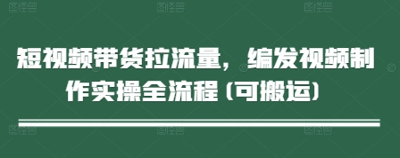 短视频带货拉流量，编发视频制作实操全流程(可搬运)-资源宝库