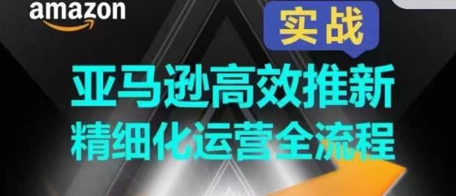 亚马逊高效推新精细化运营全流程，全方位、快速拉升产品排名和销量!-资源宝库