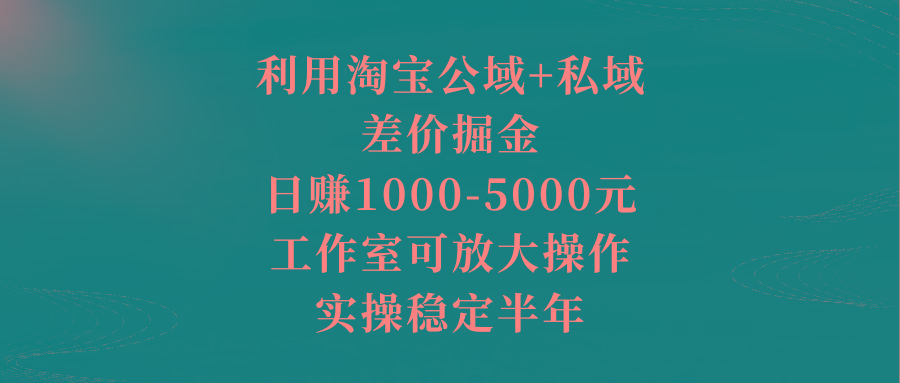 利用淘宝公域+私域差价掘金，日赚1000-5000元，工作室可放大操作，实操...-资源宝库