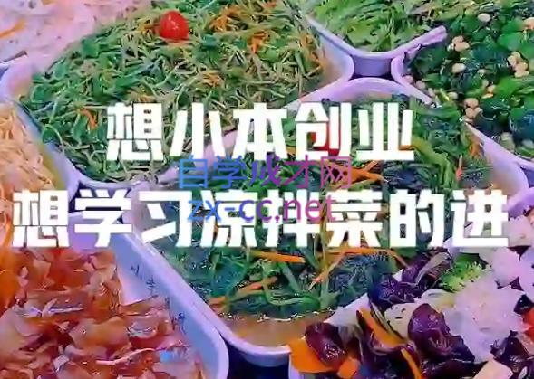 李记·精品凉拌菜系列热卤系列教程-资源宝库