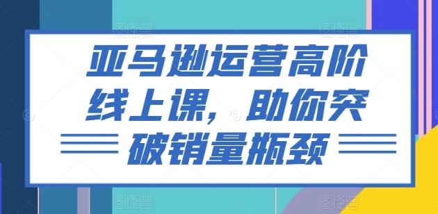 亚马逊运营高阶线上课，助你突破销量瓶颈-资源宝库