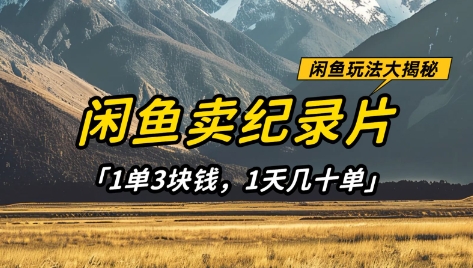 闲鱼卖纪录片1单3块钱,1天几十单,项目稳定有潜力-资源宝库