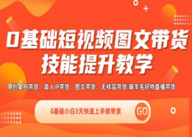 0基础短视频图文带货实操技能提升教学(直播课+视频课),0基础小白3天快速上手做带货-资源宝库