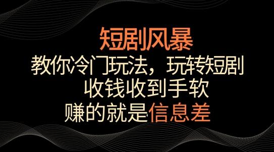 短剧风暴，教你冷门玩法，玩转短剧，收钱收到手软【揭秘】-资源宝库