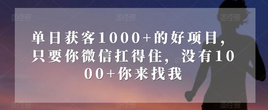 单日获客1000+的好项目，只要你微信扛得住，没有1000+你来找我【揭秘】-资源宝库