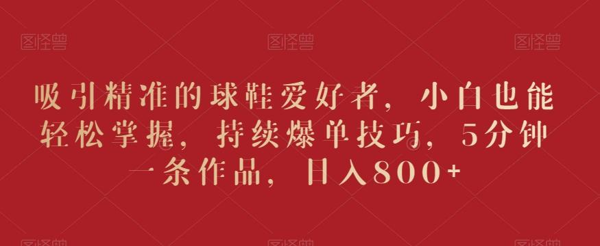 吸引精准的球鞋爱好者，小白也能轻松掌握，持续爆单技巧，5分钟一条作品，日入800+【揭秘】-资源宝库