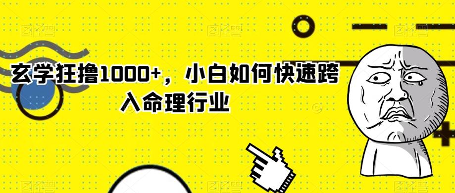 玄学狂撸1000+，小白如何快速跨入命理行业-资源宝库