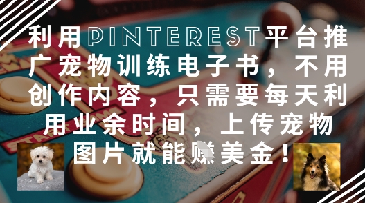 利用Pinterest平台推广宠物训练电子书，不用创作内容，只需要每天利用业余时间，上传宠物图片就能挣美金!-资源宝库