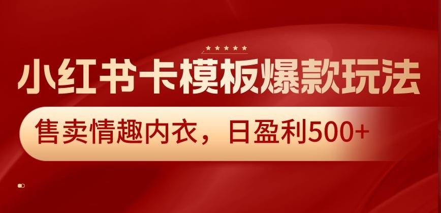 小红书卡模板爆款玩法，售卖情趣内衣，日盈利500+【揭秘】-资源宝库