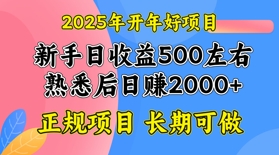 2025开年好项目，单号日收益2000左右-资源宝库