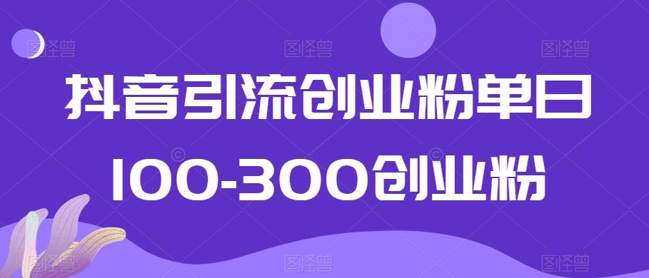 抖音引流创业粉单日100-300创业粉【揭秘】-资源宝库