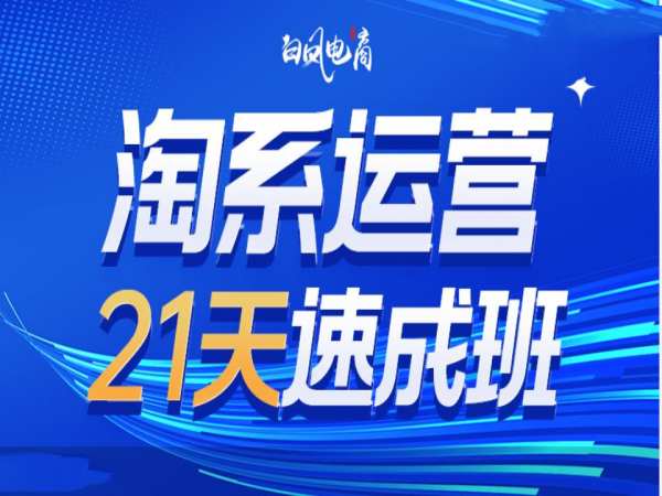 淘系运营21天速成班35期,年前最后一波和2025方向-资源宝库