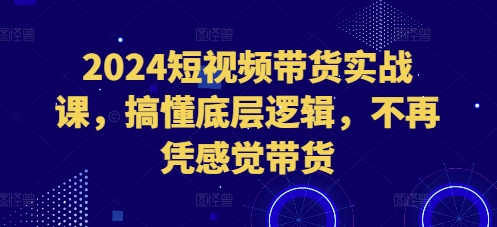 2024短视频带货实战课，搞懂底层逻辑，不再凭感觉带货-资源宝库