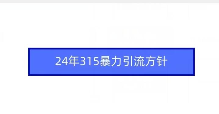 24年315暴力引流方针-资源宝库