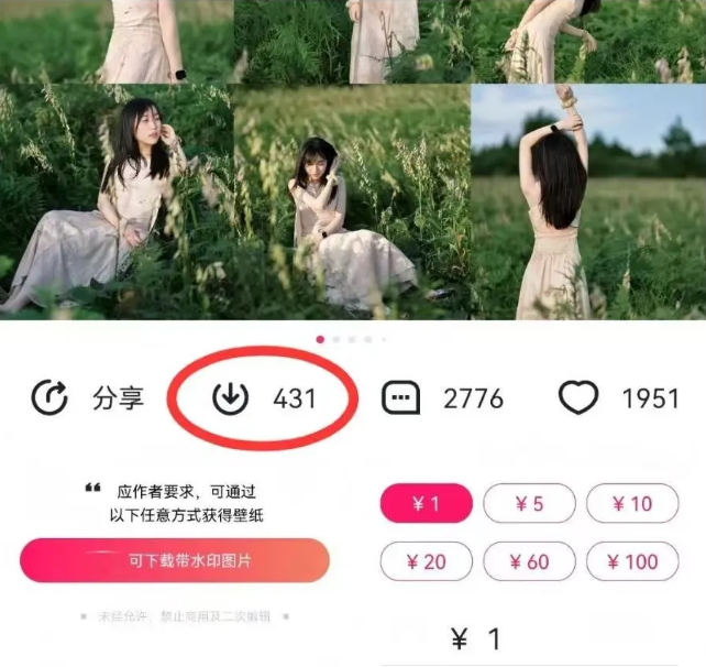 最新图虫搬运项目，收益无上限，利用AI小白也可日赚500+-资源宝库