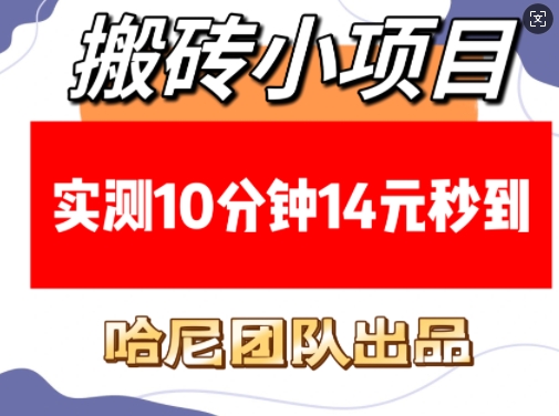 搬砖小项目，实测10分钟14元秒到，每天稳定几张(赠送必看稳定)-资源宝库
