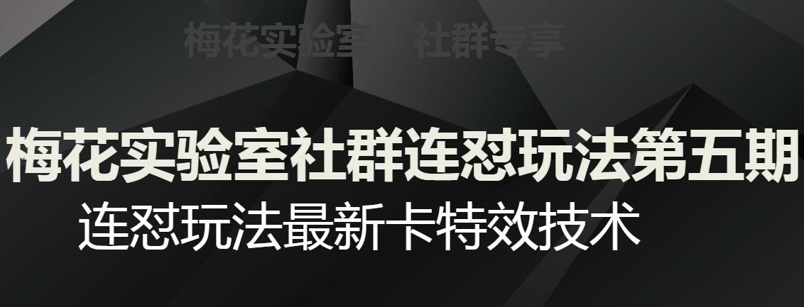 梅花实验室社群连怼玩法第五期，视频号连怼玩法最新卡特效技术-资源宝库