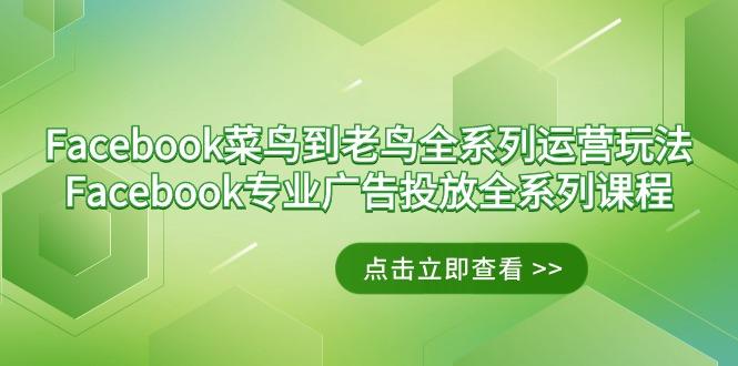 Facebook-菜鸟到老鸟全系列运营玩法+Facebook-专业广告投放全系列课程-资源宝库