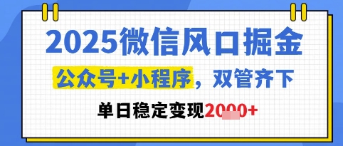 2025微信风口掘金,公众号+小程序双管齐下,单日稳定变现1k+【揭秘】-资源宝库