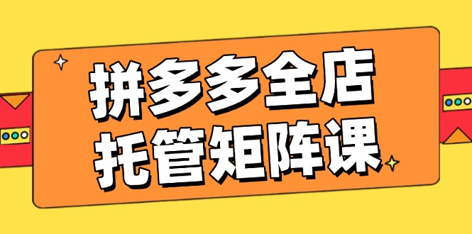 拼多多全店托管矩阵课,盈利动销玩法,高效计划设置,提升店铺效益-资源宝库