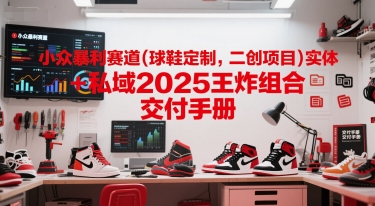 小众暴利赛道(球鞋定制，二创项目)实体+私域2025王炸组合  交付手册-资源宝库