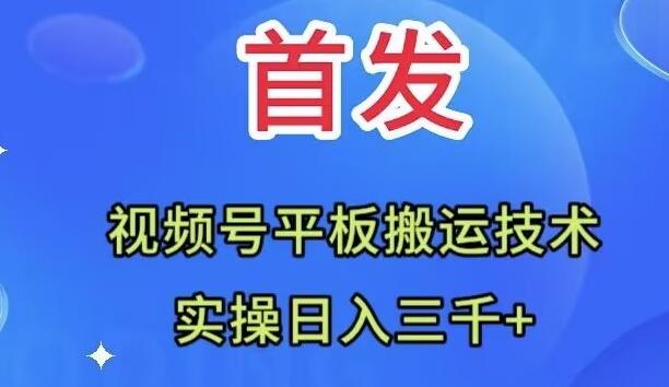 全网首发：视频号平板搬运技术，实操日入三千＋-资源宝库