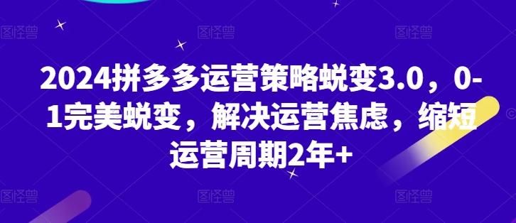 2024拼多多运营策略蜕变3.0，0-1完美蜕变，解决运营焦虑，缩短运营周期2年+-资源宝库
