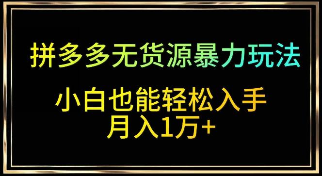 拼多多无货源暴力玩法，全程干货，小白也能轻松入手，月入1万+【揭秘】-资源宝库