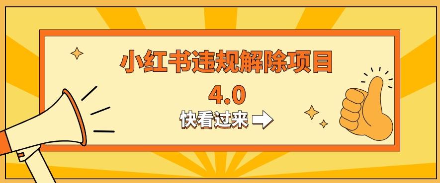 小红书违规掘金蓝海项目，日入800+（附带引流办法及解除办法）-资源宝库