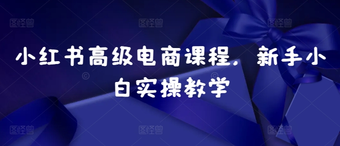 小红书高级电商课程，新手小白实操教学-资源宝库