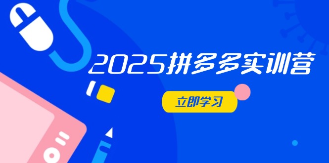 2025拼多多实训营:深度剖析运营关键,助力电商人快速提升-资源宝库