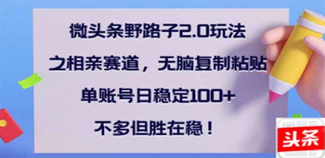 微头条野路子2.0玩法之相亲赛道,无脑搬砖复制粘贴,单账号日稳定300+…-资源宝库