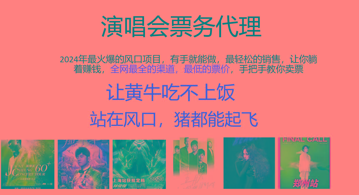 2024年最火爆风口项目，演唱会票务代理，日入2000+，一部手机就能搞定！-资源宝库