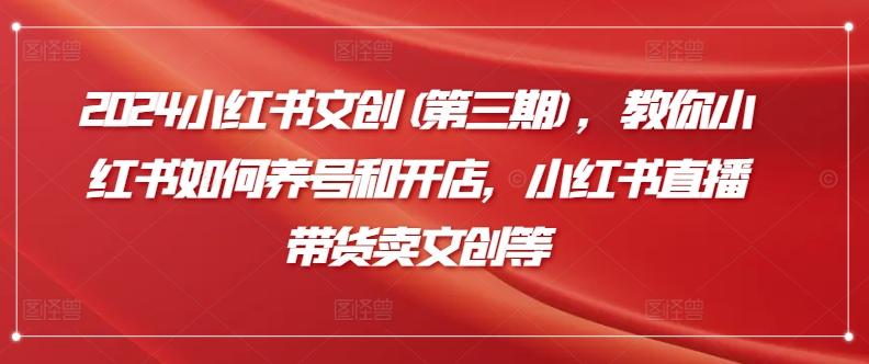 2024小红书文创(第三期)，教你小红书如何养号和开店，小红书直播带货卖文创等-资源宝库