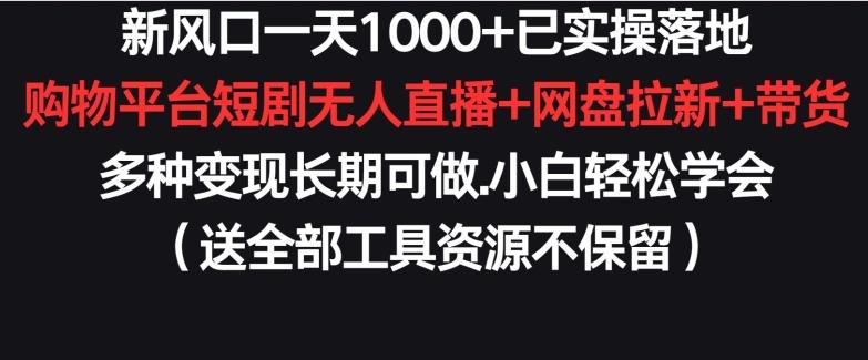 新风口一天1000+已实操落地购物平台短剧无人直播+网盘拉新+带货多种变现长期可做【揭秘】-资源宝库