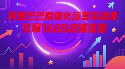 阿里巴巴精细化运营实战课，引爆1688店铺流量-资源宝库