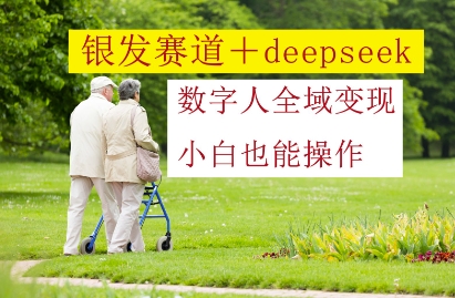 银发赛道+deepseek数字人全域变现,小白也能操作-资源宝库
