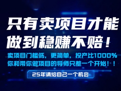 只有卖项目才能做到稳挣不赔,门槛低,更简单,你也可以年入百个W【揭秘】-资源宝库