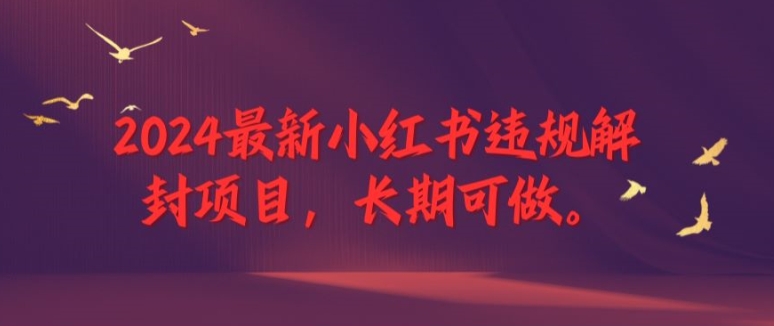2024最新小红书违规解封项目，长期可做，一个可以做到退休的项目【揭秘】-资源宝库