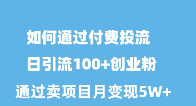 如何通过付费投流日引流100+创业粉月变现5W+-资源宝库