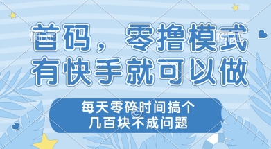 首码零撸项目，有快手就可以做，每天业务时间搞个几张不是问题【揭秘】-资源宝库