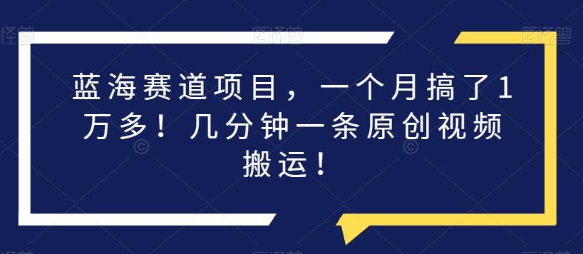蓝海赛道项目，一个月搞了1万多！几分钟一条原创视频搬运！-资源宝库