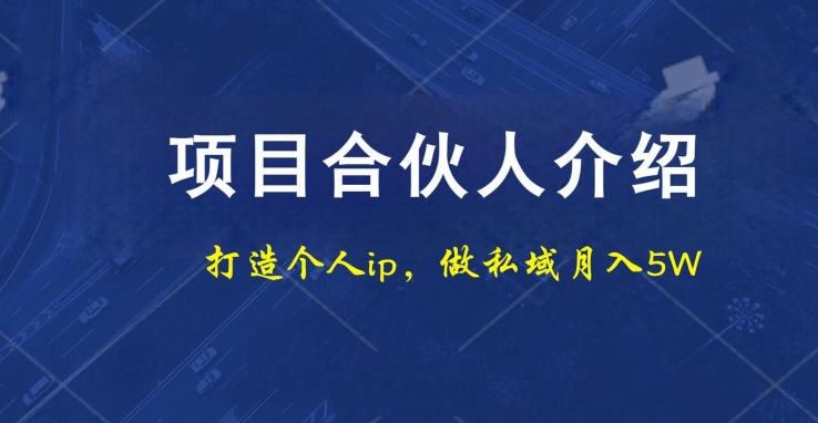 项目合伙人项目，打造个人IP，做私域月入5W，小白勿扰-资源宝库