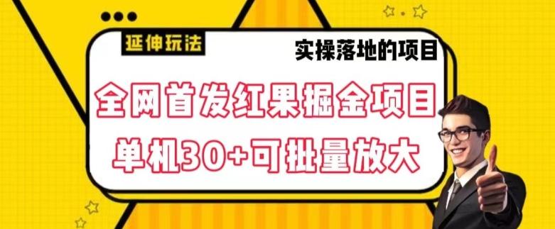 全网首发红果免费短剧掘金项目，单机30+可批量放大【揭秘】-资源宝库