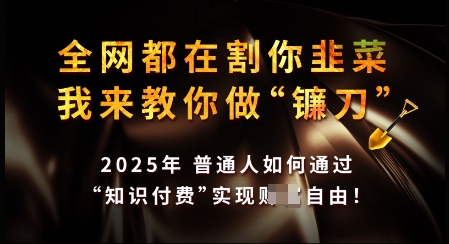 知识付费如何做到月入过W+，2025我来教你做“镰刀”【揭秘】-资源宝库