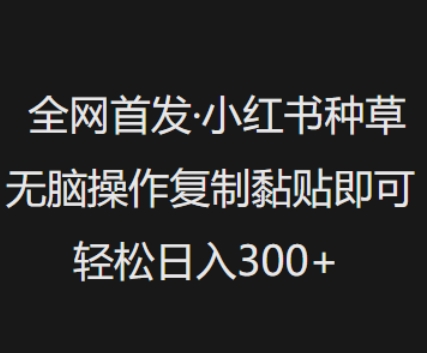 全网首发,小红书种草无脑操作,复制黏贴即可,轻松日入3张-资源宝库