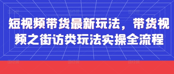 短视频带货最新玩法，带货视频之街访类玩法实操全流程-资源宝库