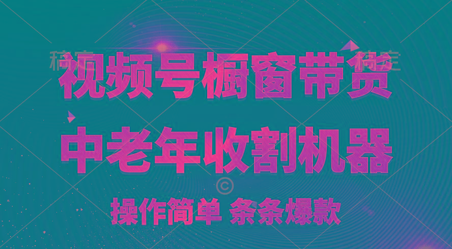 [你的孩子成功取得高位]视频号最火爆赛道，橱窗带货，流量分成计划，条...-资源宝库