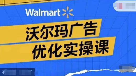 沃尔玛广告优化实操课，广告报告实操讲解，广告如何提高转化和ROAS等-资源宝库